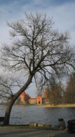 Ezerkiemis Hotel Trakai Exterior photo